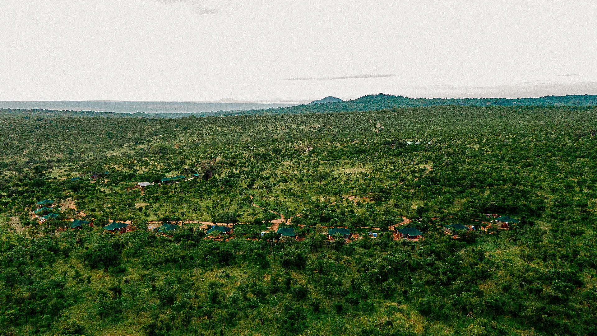 About Tarangire Nature Camp