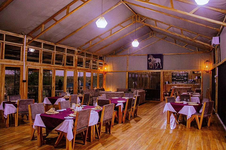 Land of Nature Camp - Serengeti