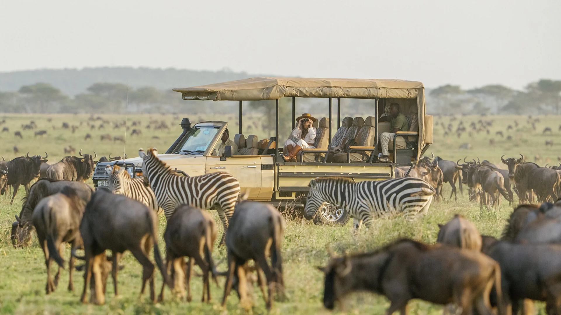 Morning Game Drive in the Central Serengeti
