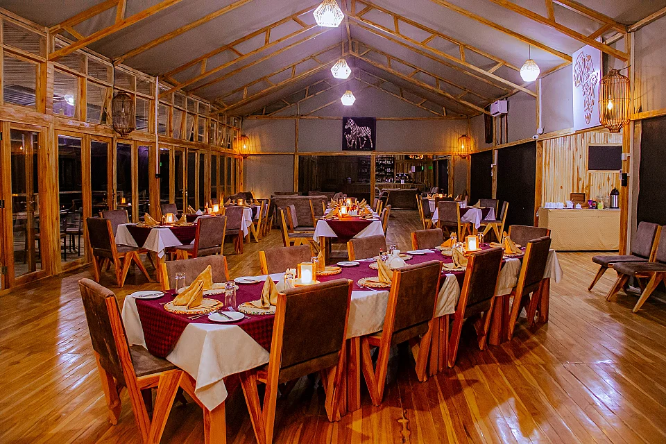 Land of Nature Camp - Serengeti