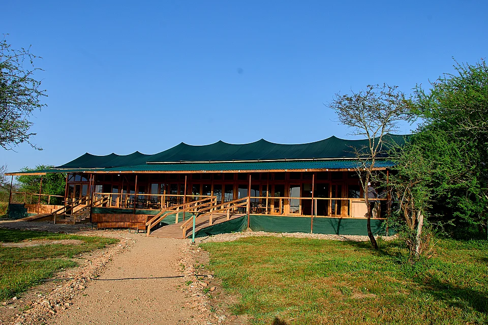 Land of Nature Camp - Serengeti