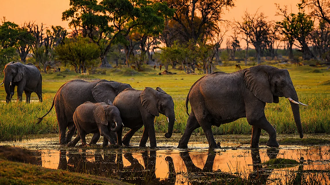 Full Day Tarangire Safari