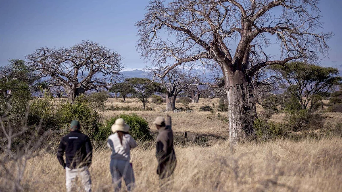 Tarangire River Nature Walk