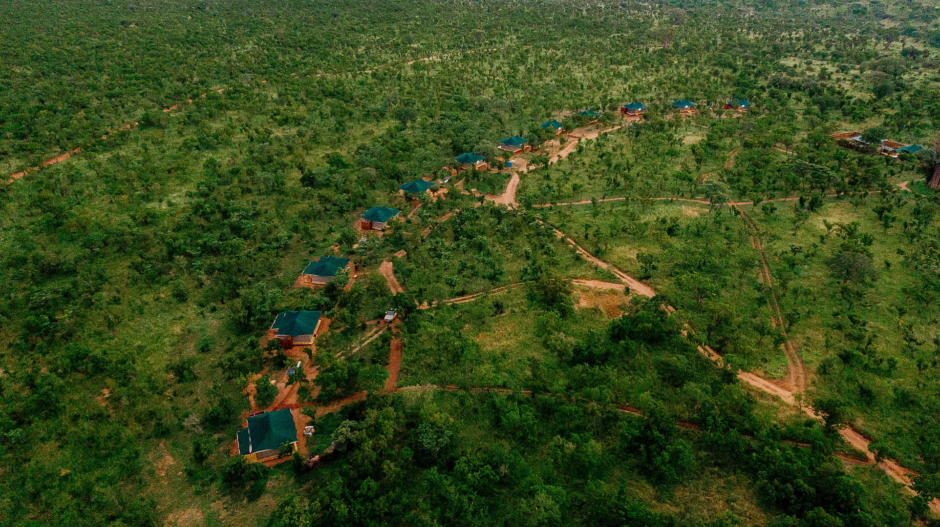 Tarangire Nature Camp