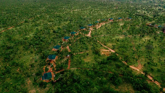 Tarangire Nature Camp gallery