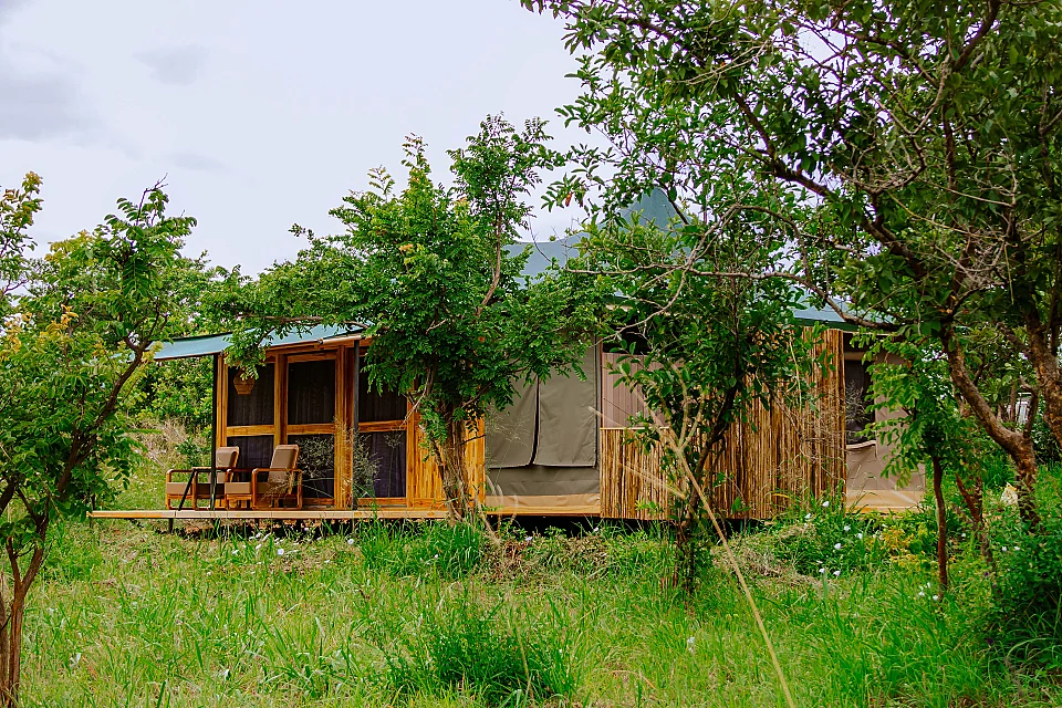 Tarangire Nature Camp